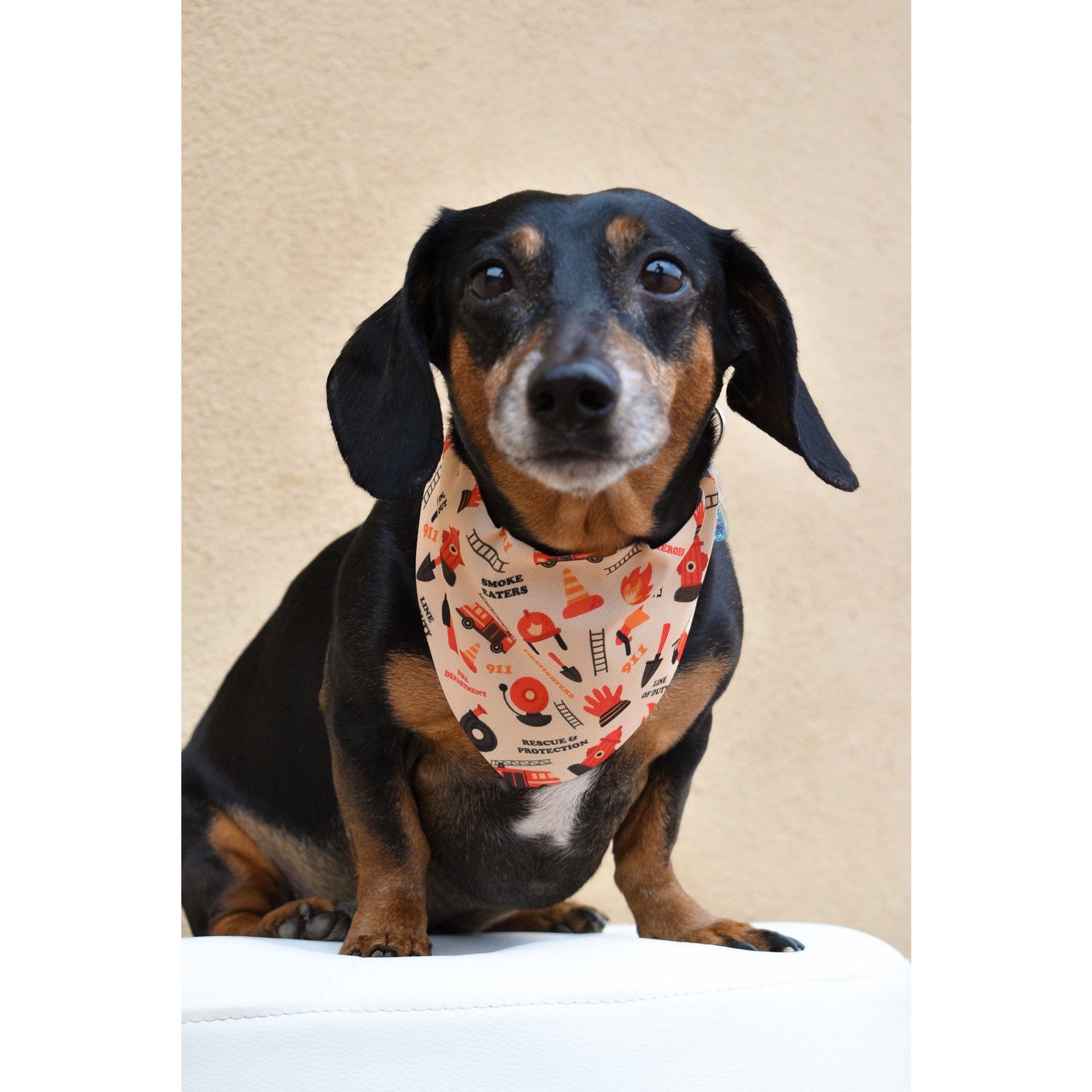 A dog wearing a reversible bandana with a fireman theme on a beige background.