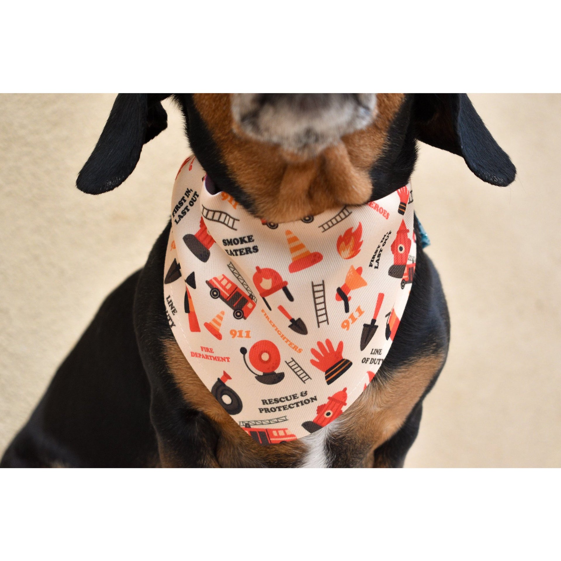 A dog wearing a reversible bandana with a fireman theme on a beige