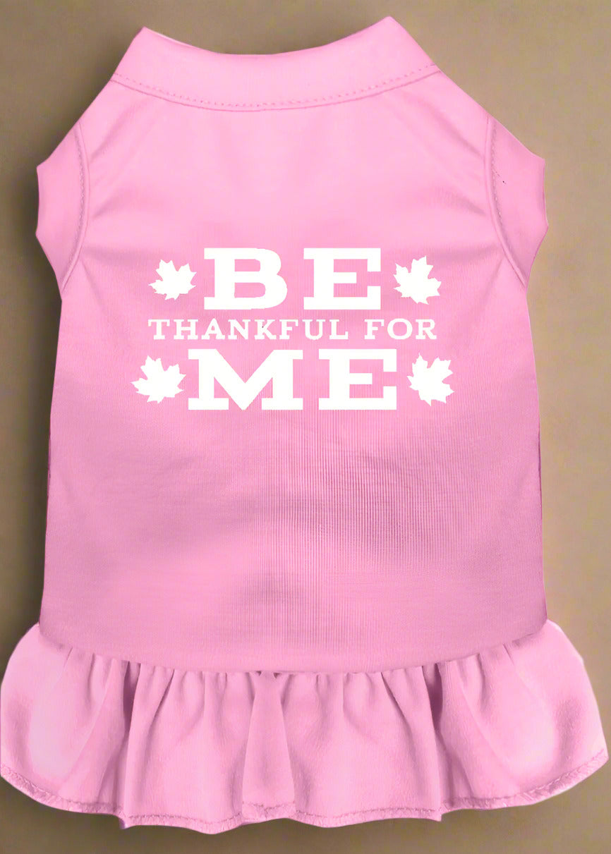 A sleeveless, light pink pet dress with a screen print that reads 'BE THANKFUL FOR ME' accompanied by leaf graphics, and a ruffle sewn onto the bottom.