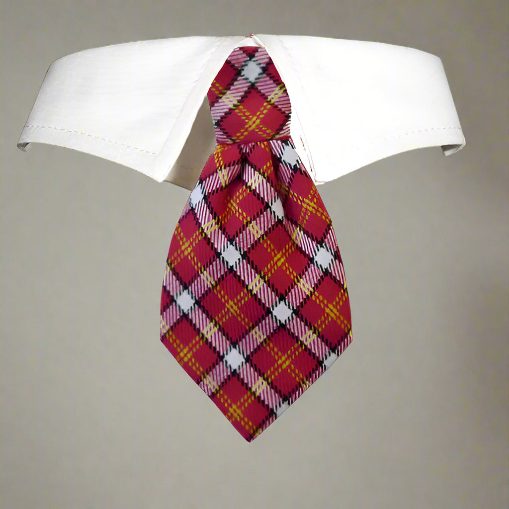 A red, white, and blue plaid dog collar with a detachable tie, displayed on a white background.