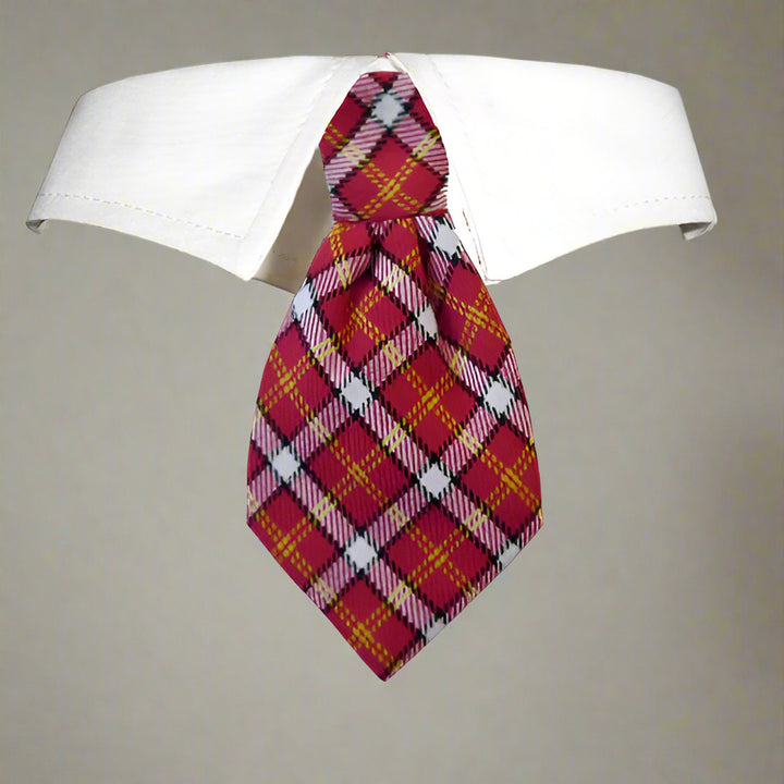 A red, white, and blue plaid dog collar with a detachable tie, displayed on a white background.