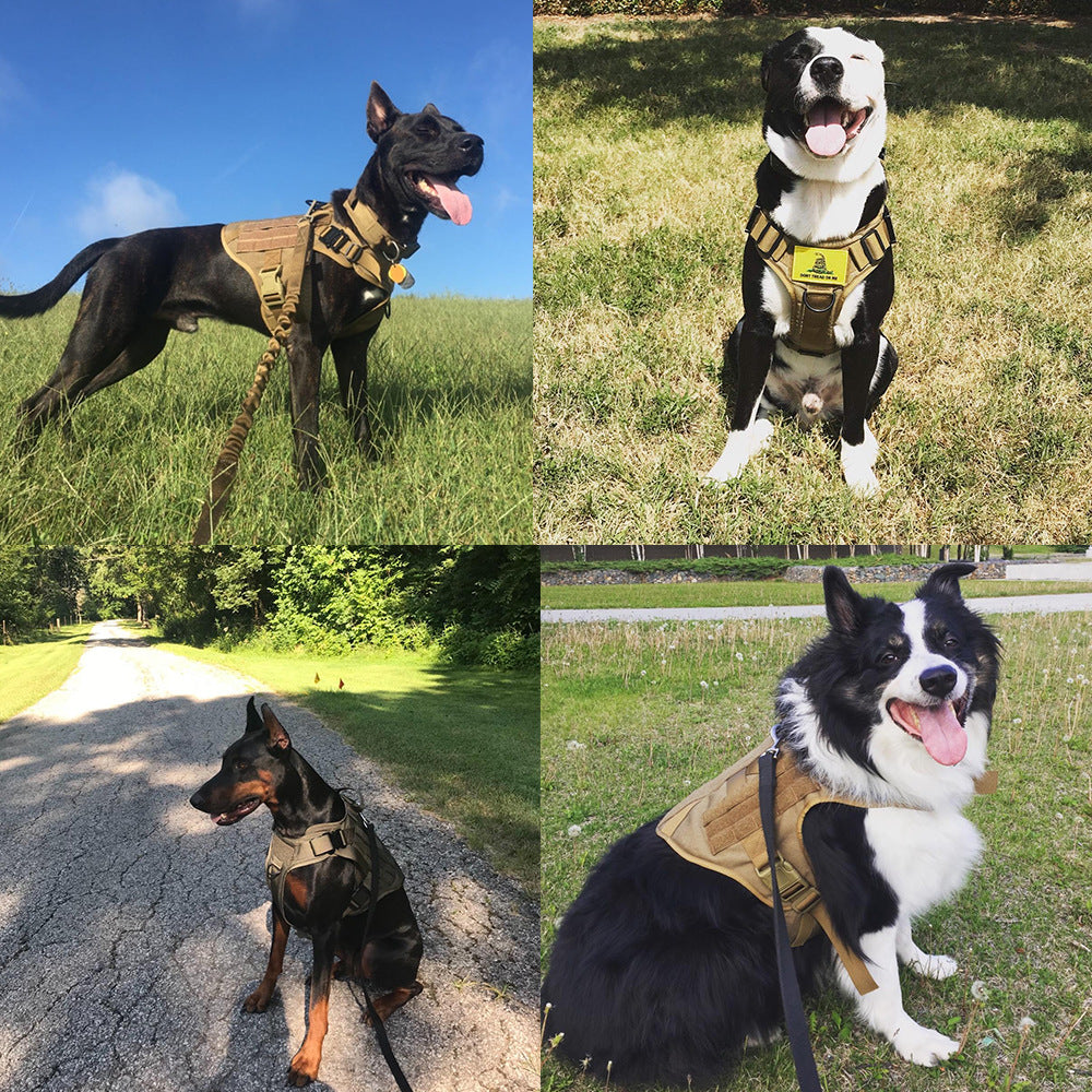 Photo of four square images of different breeds of dogs wearing a tactical vest