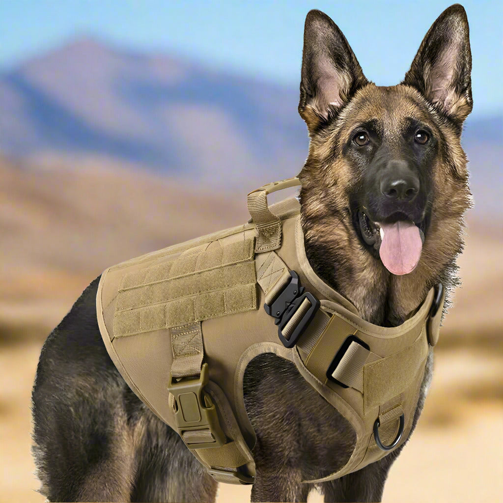 A German Shepherd wearing a brown military dog tactical harness set with metal leash rings and adjustable straps.