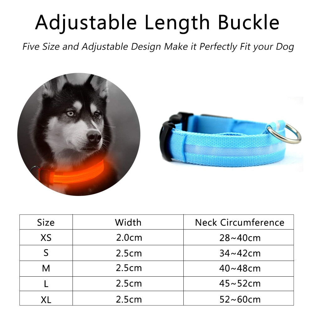 Pet Accessories - Nylon LED Dog Collar