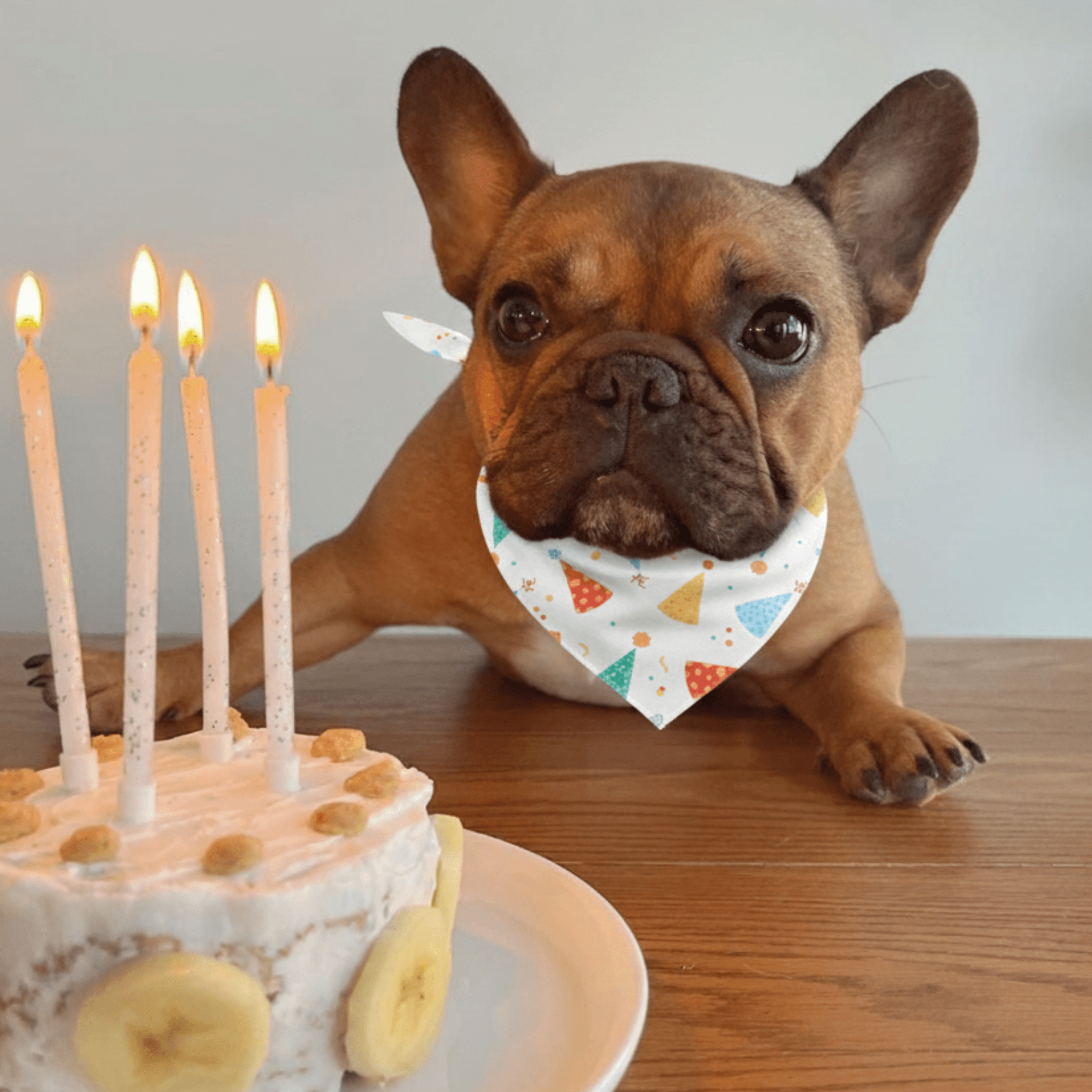 Dog wearing a bandana next to a birthday cake with lit candles on a wooden table.