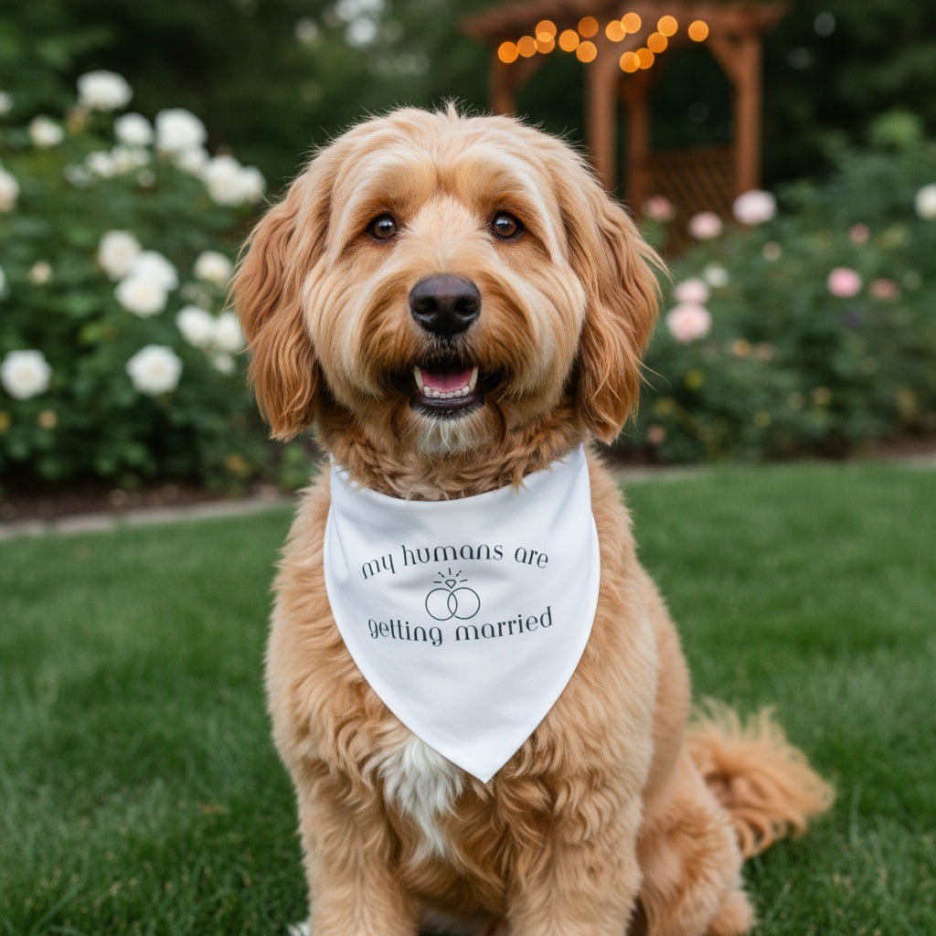 Dog wearing My Humans Are Getting Married wedding bandana sitting outdoors