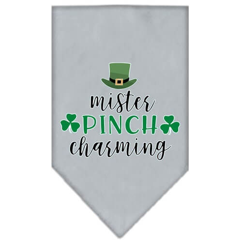 Gray bandana with 'mister pinch charming' text and green clover design on a white background