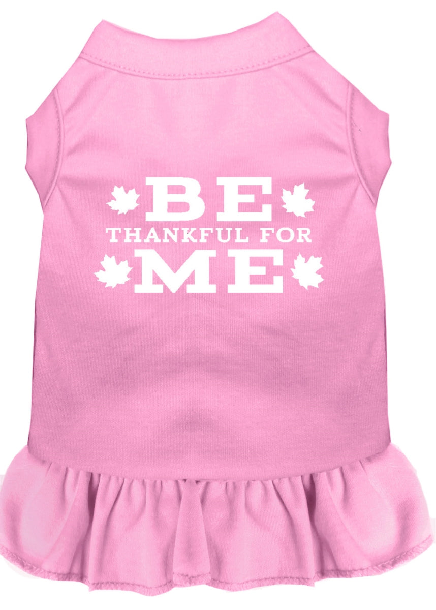 Pet Accessories - Be Thankful for Me Screen Print Dress