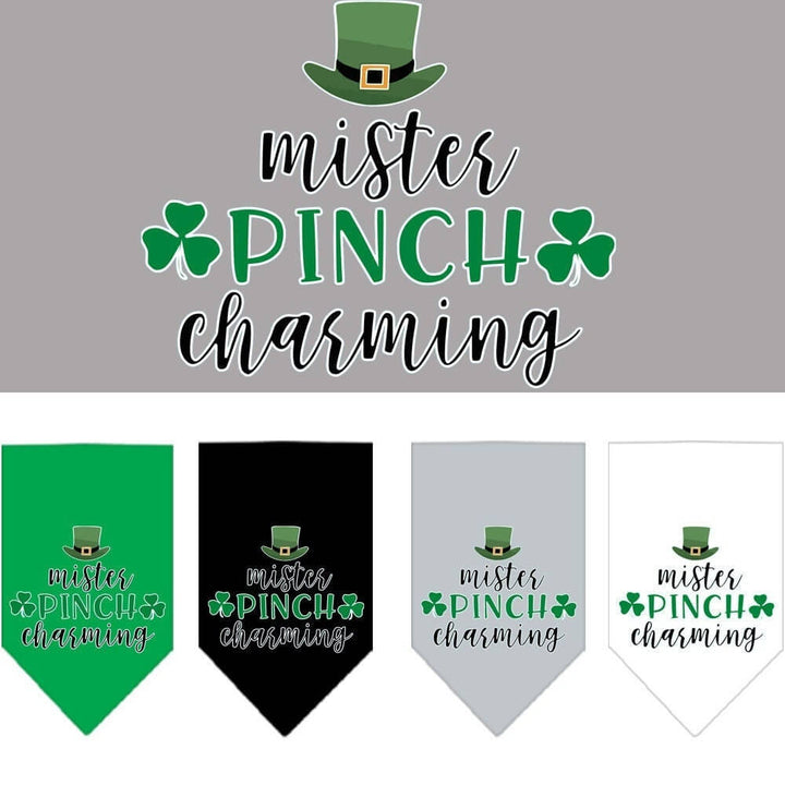 Dog bandanas with 'mister PINCH charming' text and green hats on a gray background