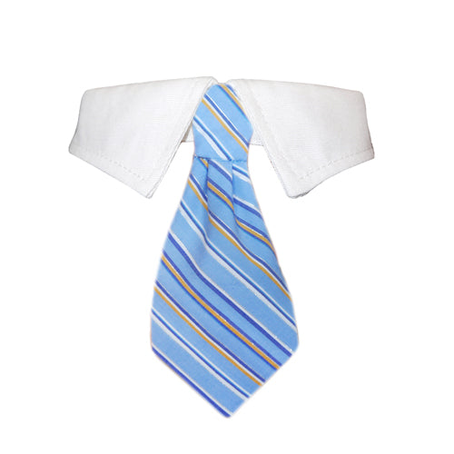 Pet Accessories - Kyle Shirt Collar