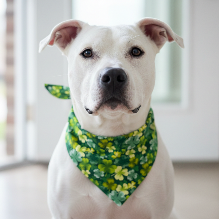 Festive green dog bandana for St. Patrick’s Day