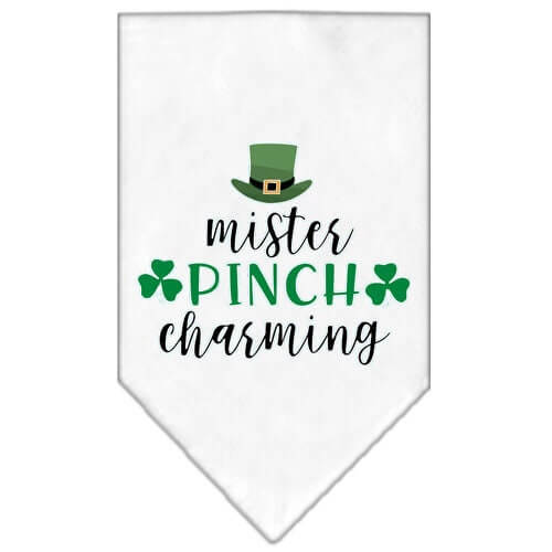 White St Patrick’s Day dog bandana Mr Pinch Charming design