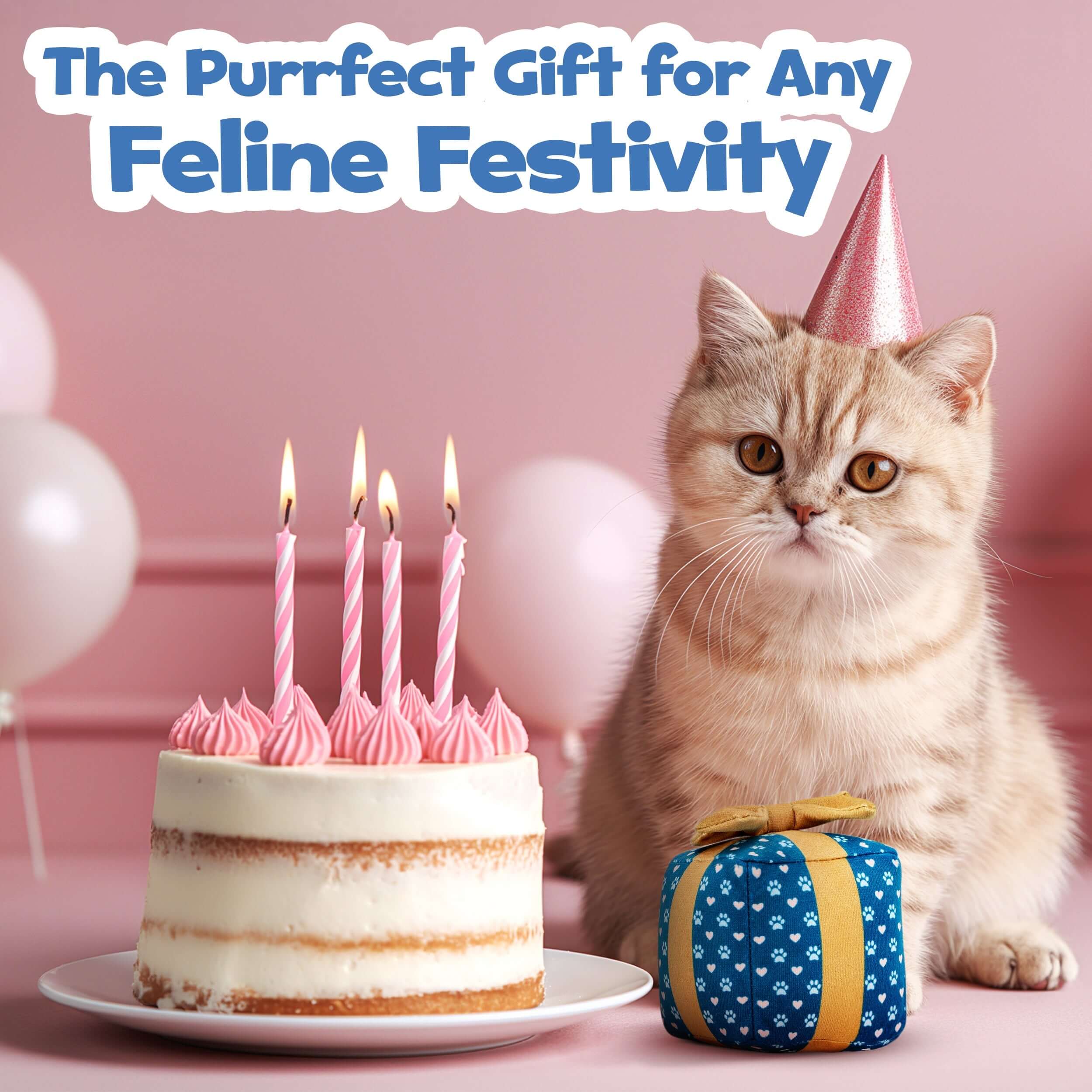 cat birthday gift toy plush catnip toy