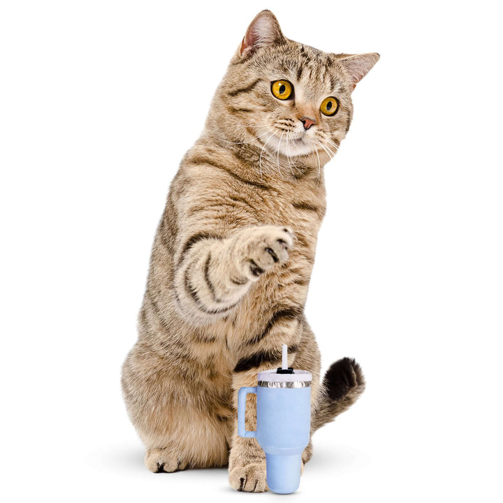 Cat playing with a cat tumbler toy with catnip, featuring a trendy design with straw and handle.