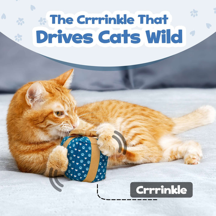 orange cat playing with catnip gift box toy