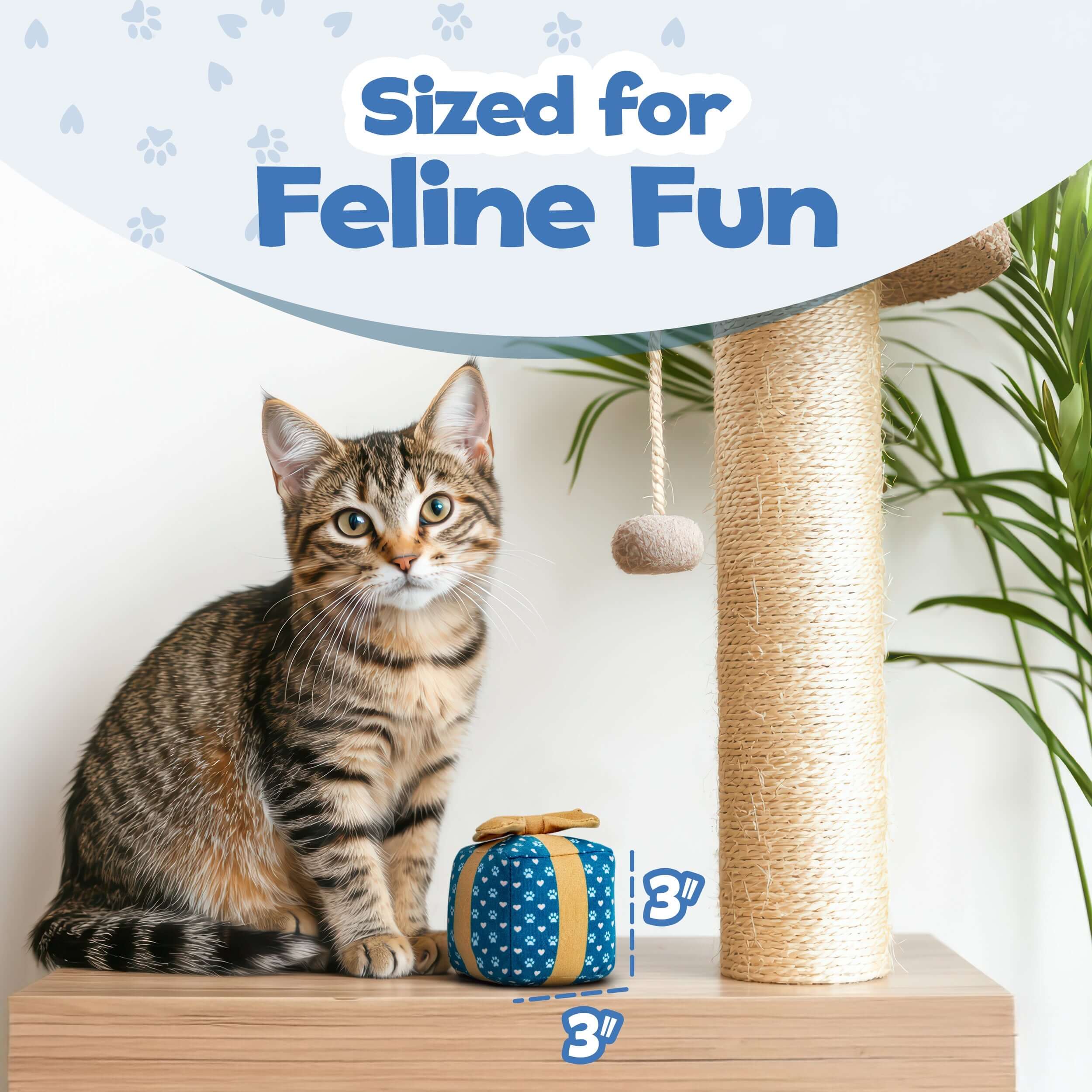 Cat sitting on a wooden perch with a toy, next to a scratching post, against a light background.