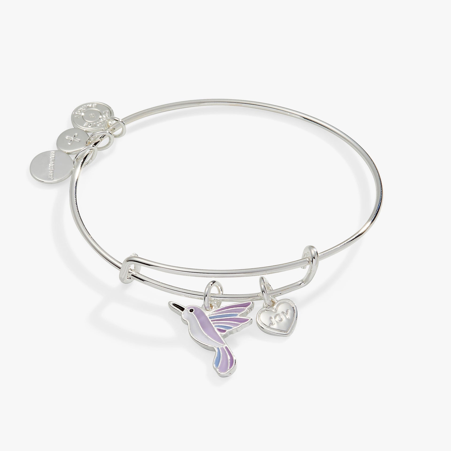 Hummingbird charm bangle bracelet featuring a colorful hummingbird and heart charms, symbolizing joy and adventure.