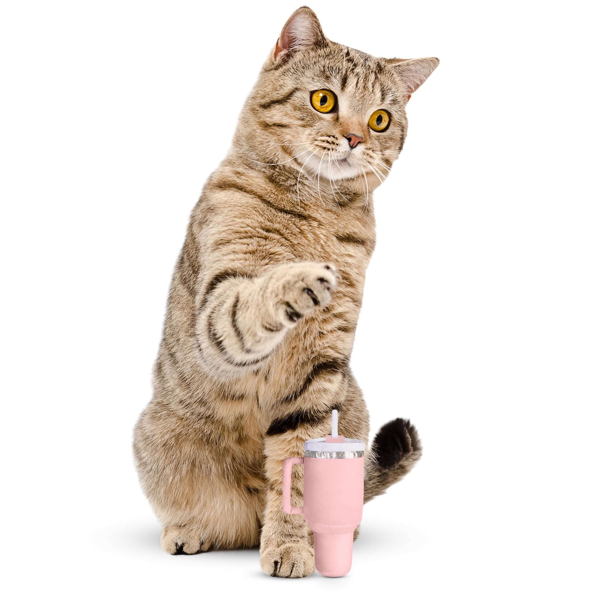 kitty cup tumbler cat toy with catnip and crinkle paper