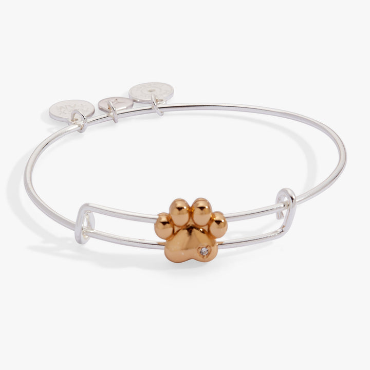Silver bracelet with a gold paw charm on a white background