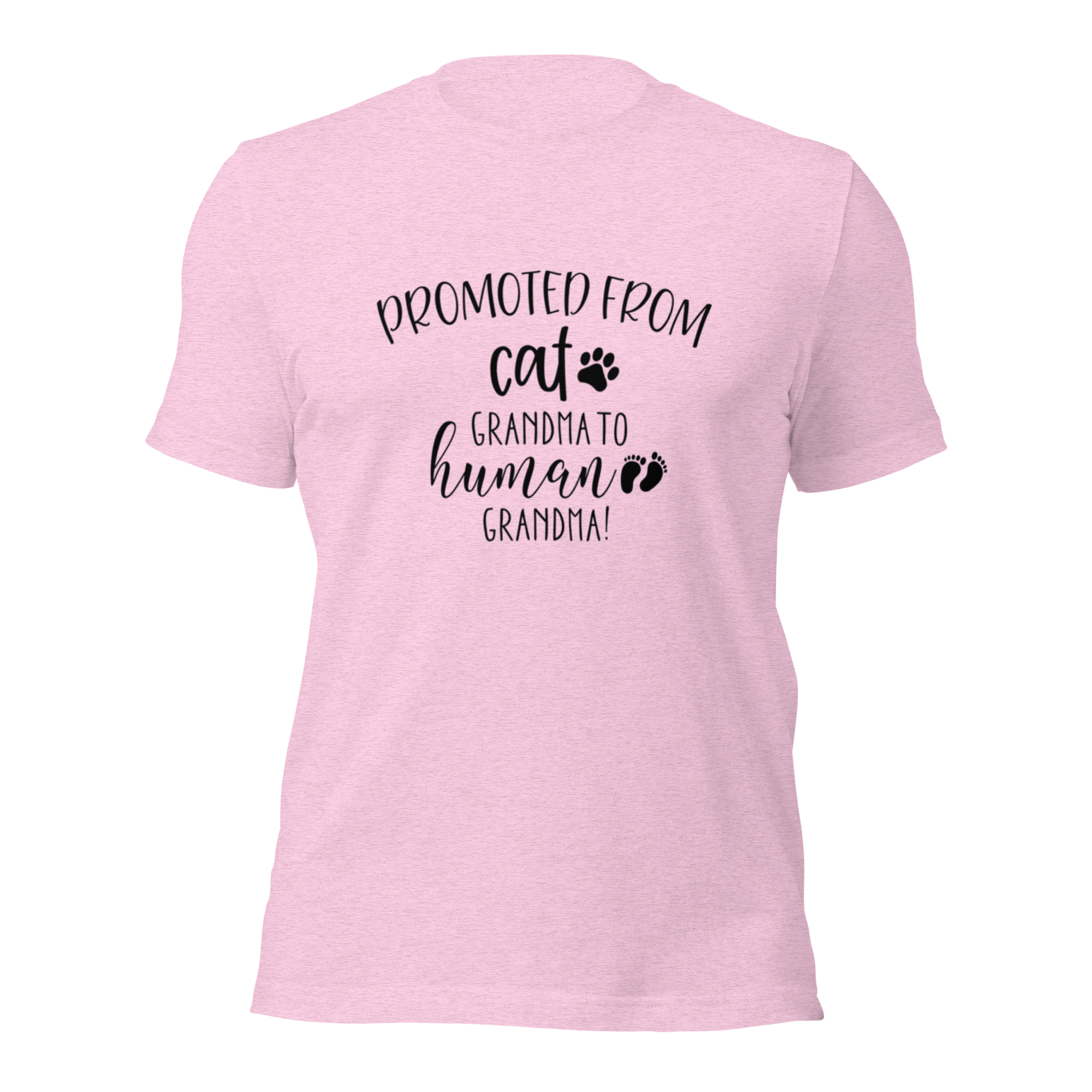 "Promoted From Cat Grandma to Human Grandma" for pregnancy announcements, new grandmas, and cat-loving grandparents-Prism Lilac