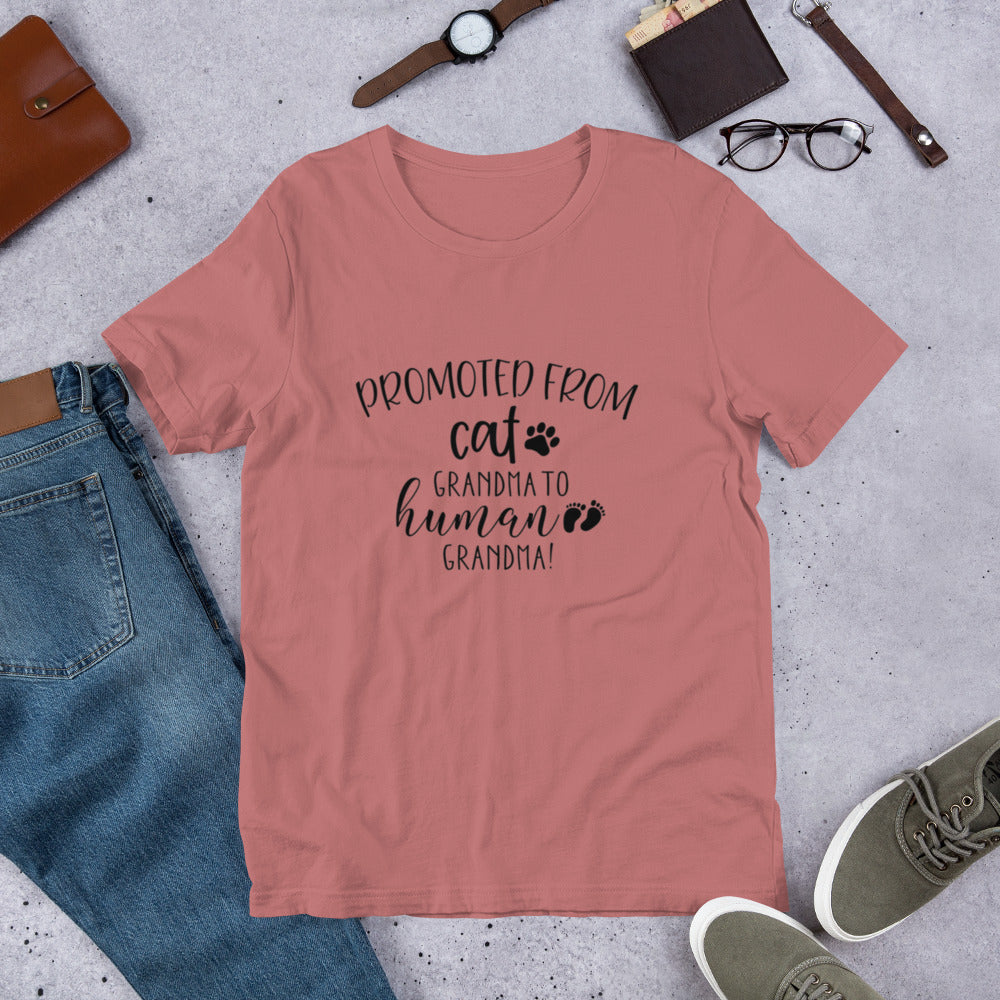 "Promoted From Cat Grandma to Human Grandma" for pregnancy announcements, new grandmas, and cat-loving grandparents 