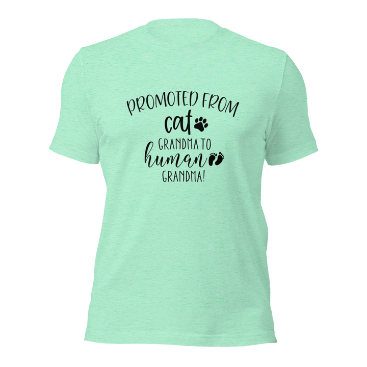 "Promoted From Cat Grandma to Human Grandma" for pregnancy announcements, new grandmas, and cat-loving grandparents- Heather Mint