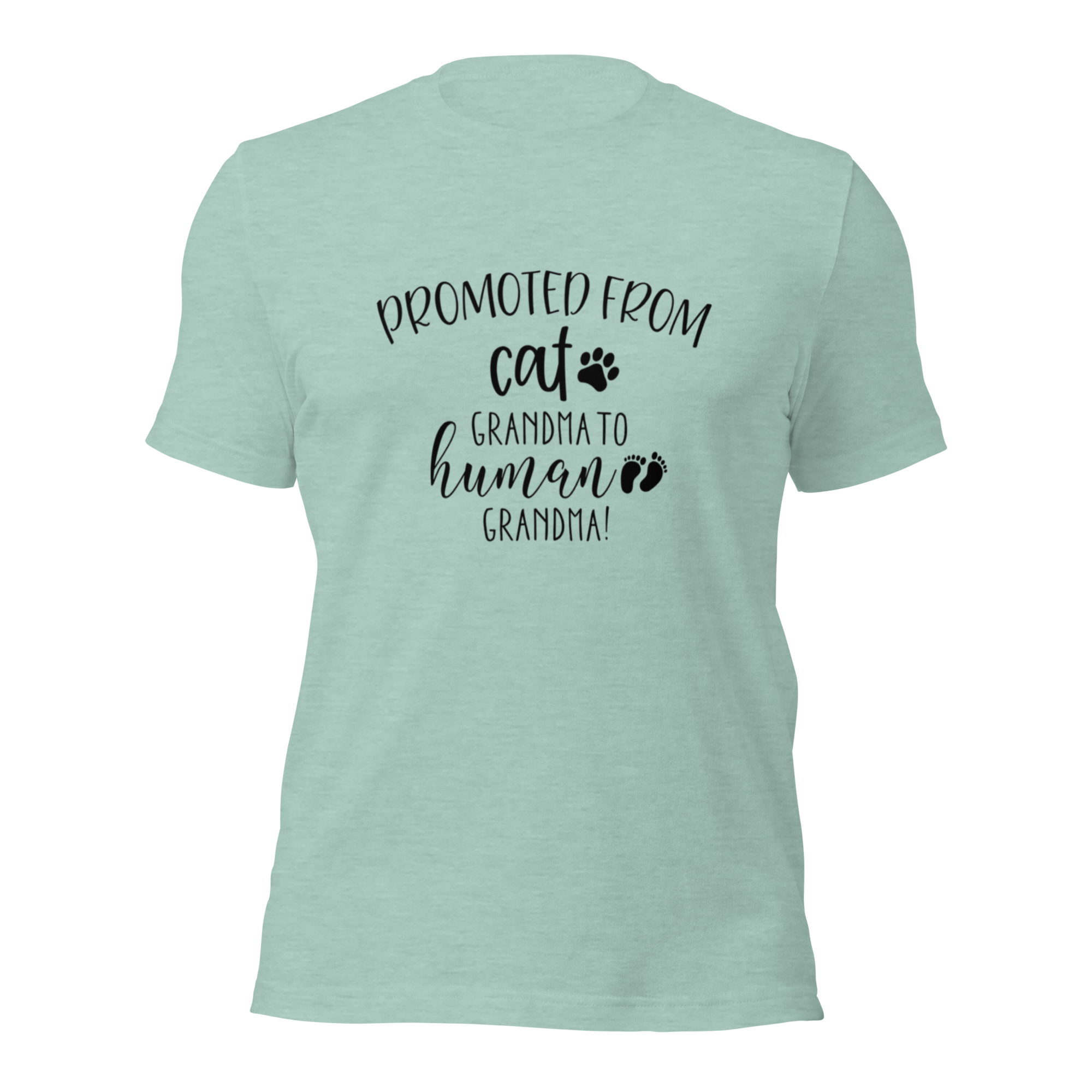 "Promoted From Cat Grandma to Human Grandma" for pregnancy announcements, new grandmas, and cat-loving grandparents-Heather Mint