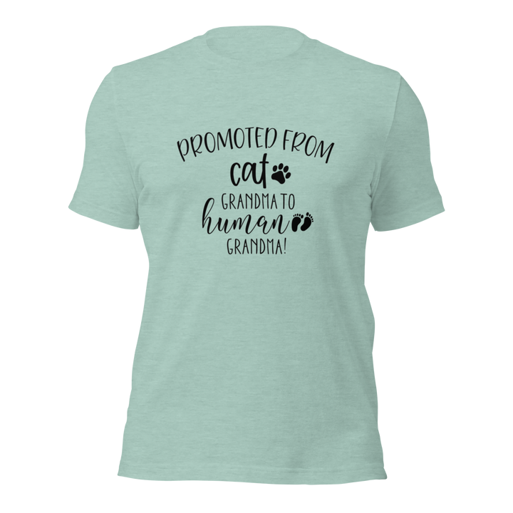 "Promoted From Cat Grandma to Human Grandma" for pregnancy announcements, new grandmas, and cat-loving grandparents-Heather Mint