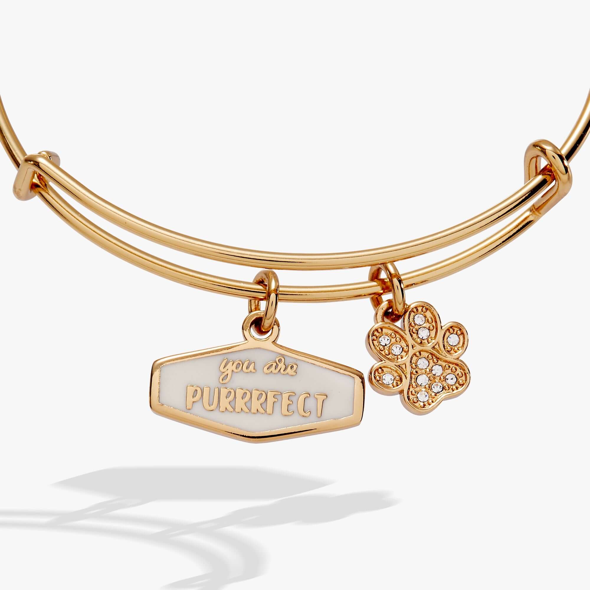 Cat lover charm bangle with paw detail
