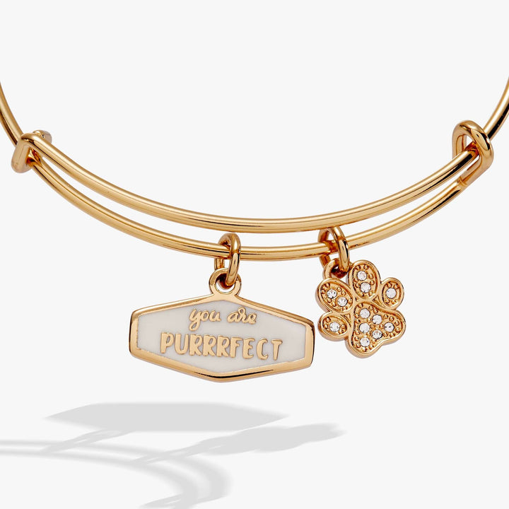 Cat lover charm bangle with paw detail