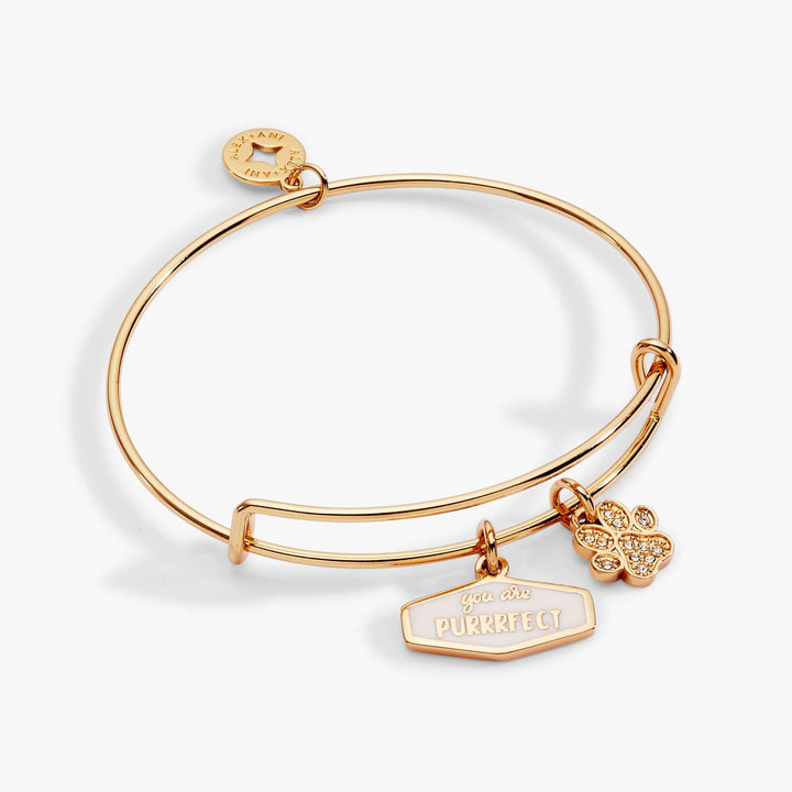 You are purrfect charm bangle bracelet